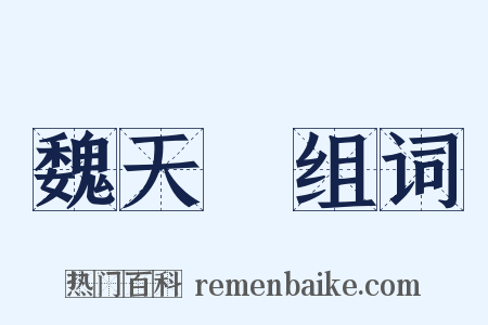 魏天祐组词是什么意思的图片